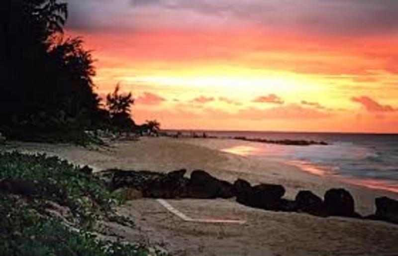 Turtle Beach By Elegant Hotels All Inclusive