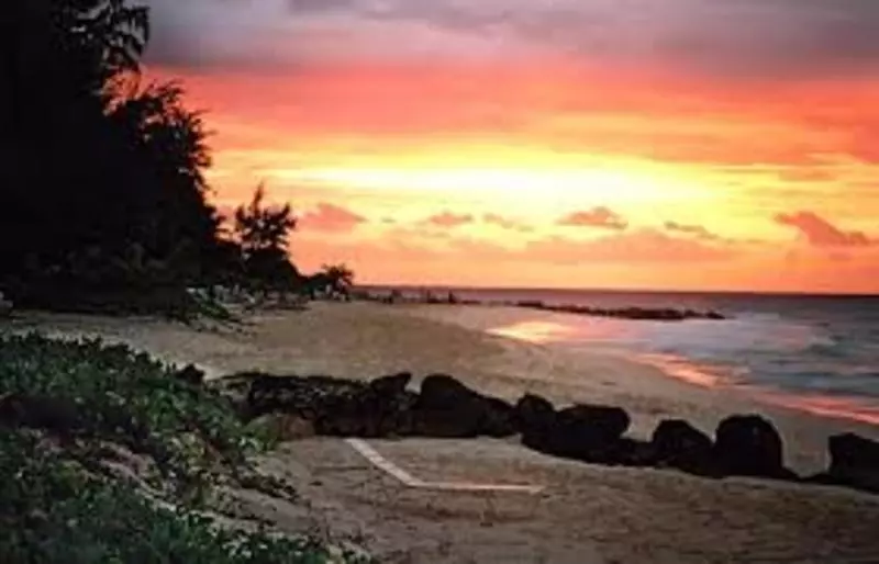 Turtle Beach By Elegant Hotels All Inclusive