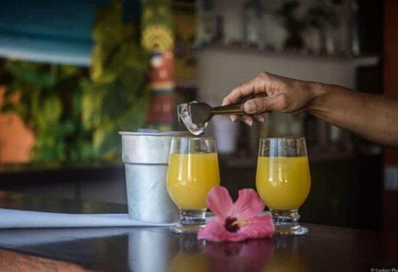 호텔 Barracuda Eco Resort Buzios