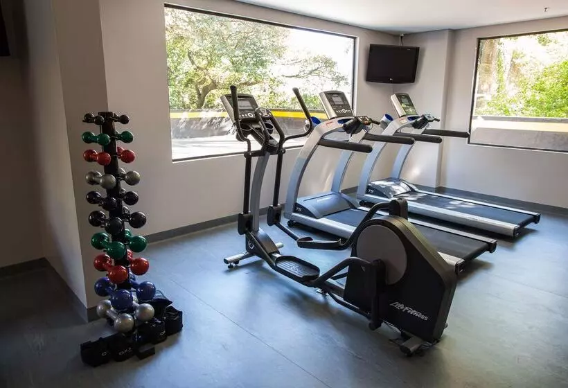 Art Hotel Transamerica Collection