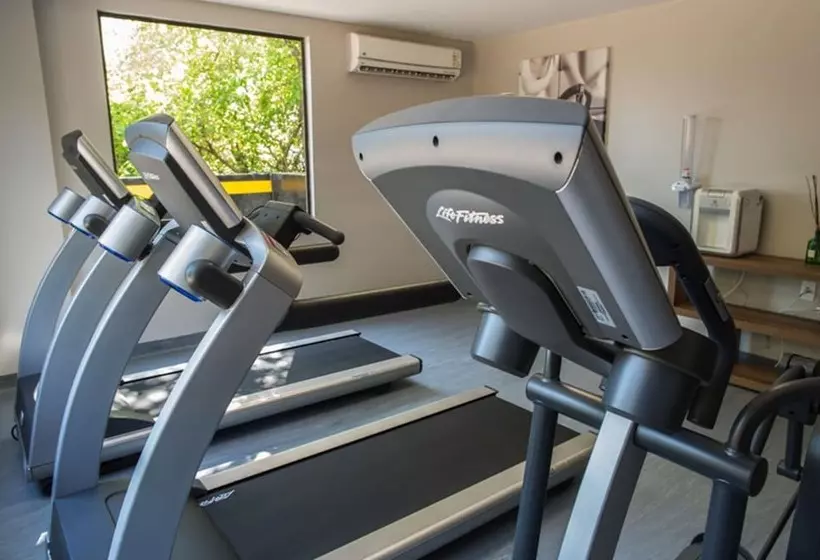 Art Hotel Transamerica Collection