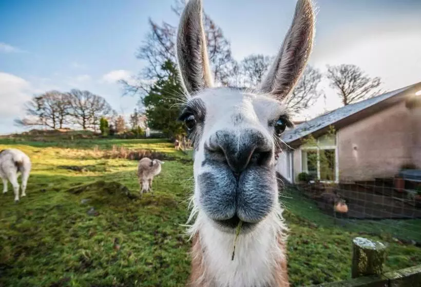 Gilpin Hotel & Lake House