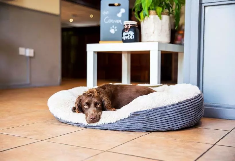 Campanile Hotel Washington