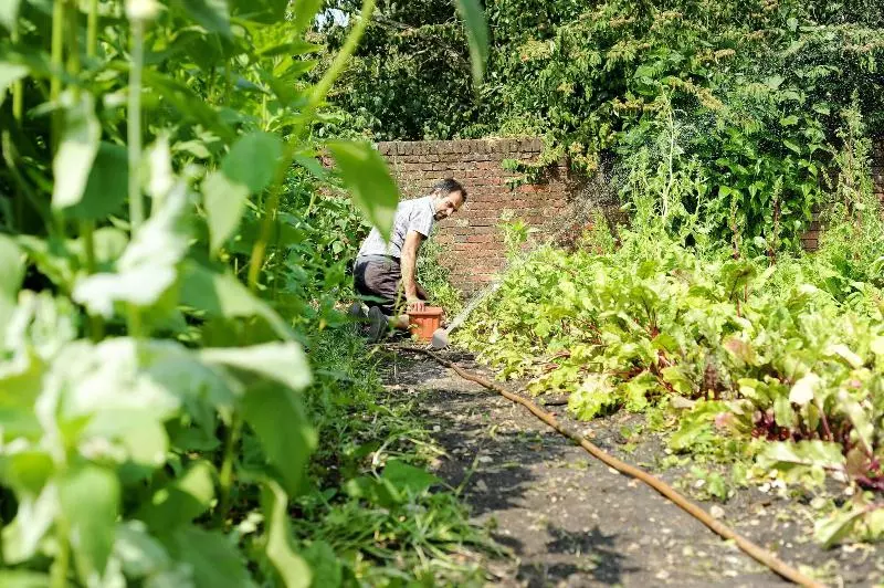 Отель The Montagu Arms