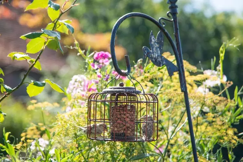 Отель The Montagu Arms