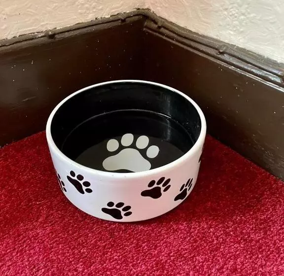 Отель Tankerville Arms