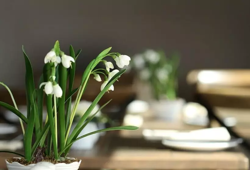 בית מלון כפרי West Highland