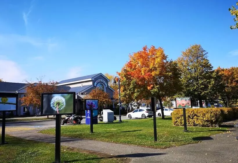 酒店 Auberge Des 21