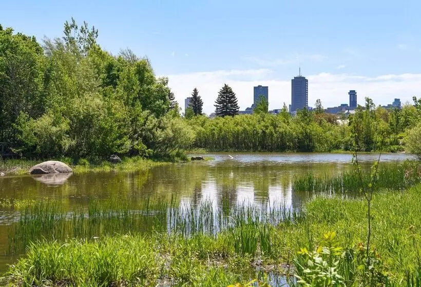 호텔 Auberge La Camarine