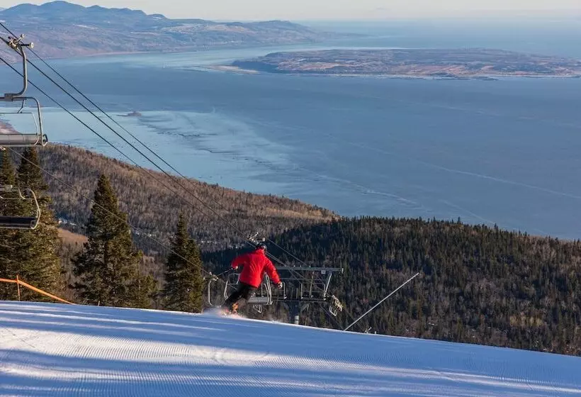 호텔 Auberge La Camarine