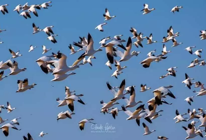 호텔 Auberge La Camarine