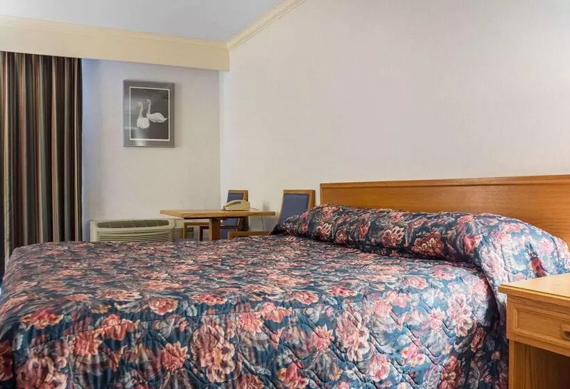 Отель Econo Lodge By The Falls