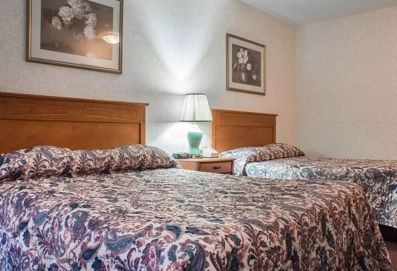 Отель Econo Lodge By The Falls