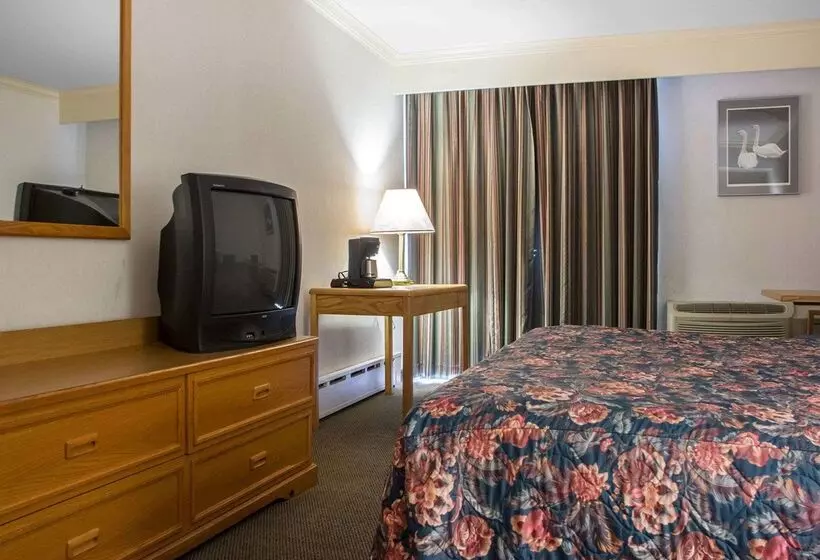 Отель Econo Lodge By The Falls