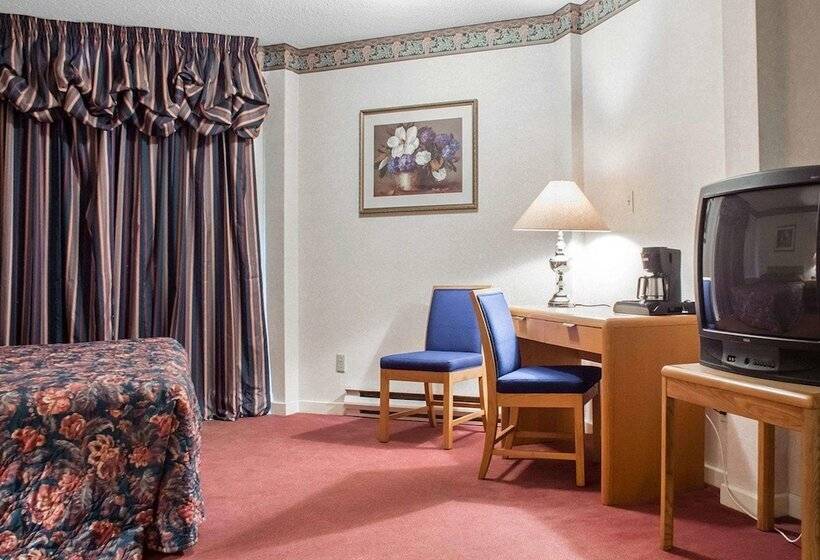 هتل Econo Lodge By The Falls