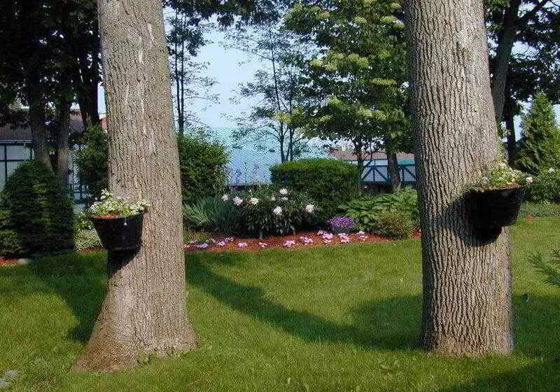 Super 8 By Wyndham Gananoque   Country Squire Resort