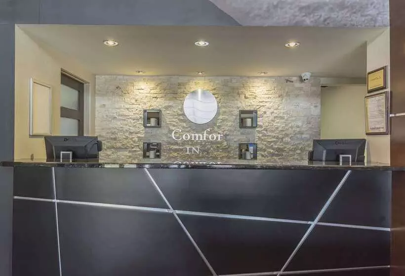 酒店 Comfort Inn