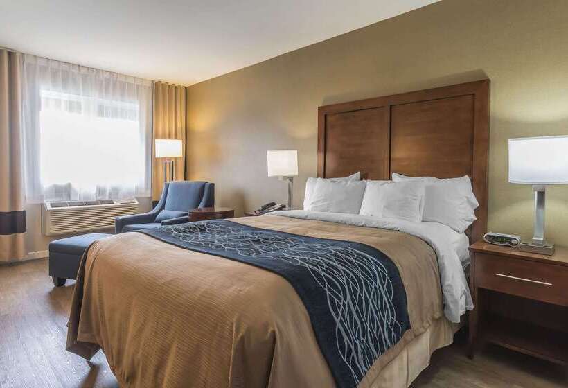 فندق Comfort Inn