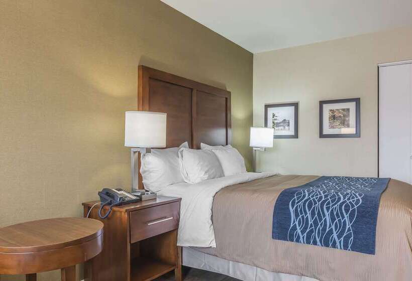 فندق Comfort Inn