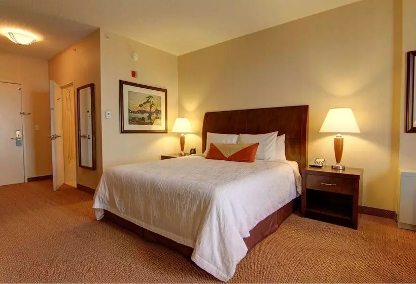 בית מלון כפרי Hilton Garden Inn Calgary Airport