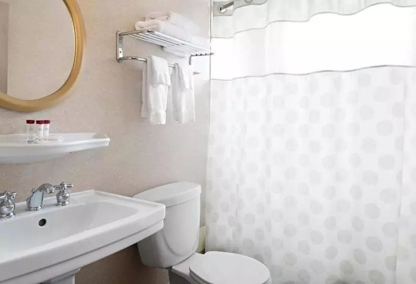 酒店 Ramada Limited Downtown Vancouver