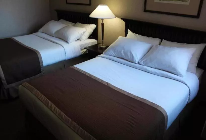 酒店 Ramada Limited Downtown Vancouver