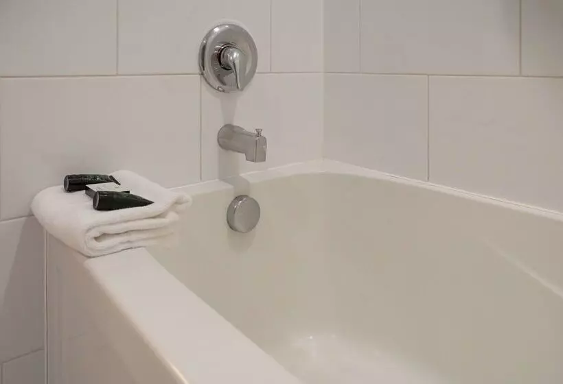 בית מלון כפרי Red Carpet Inn