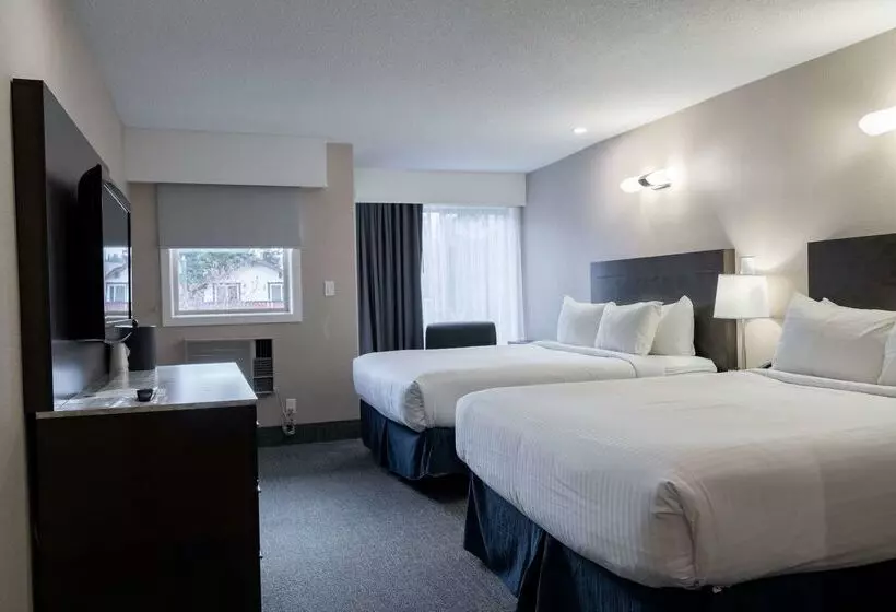 בית מלון כפרי Red Carpet Inn