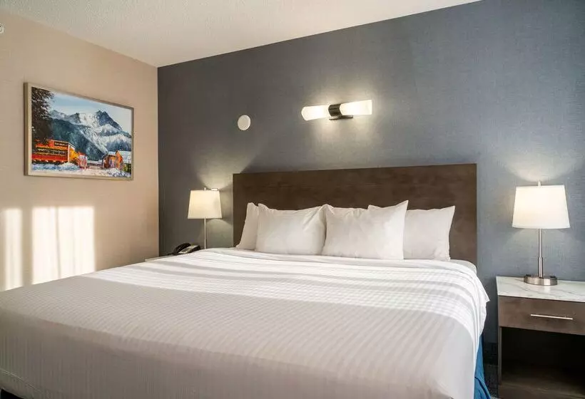 בית מלון כפרי Red Carpet Inn