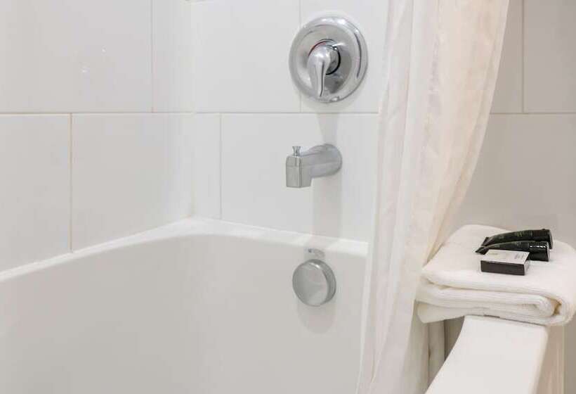 Hotel Red Carpet Inn