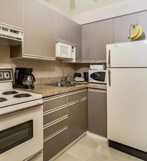 酒店 Rosellen Suites At Stanley Park