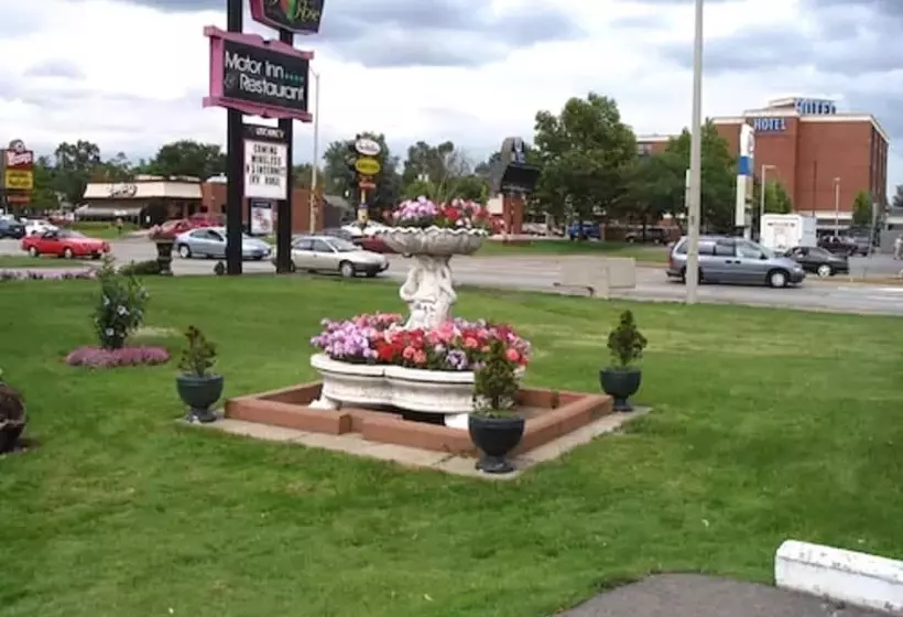 モーテル Ivy Rose Motor Inn