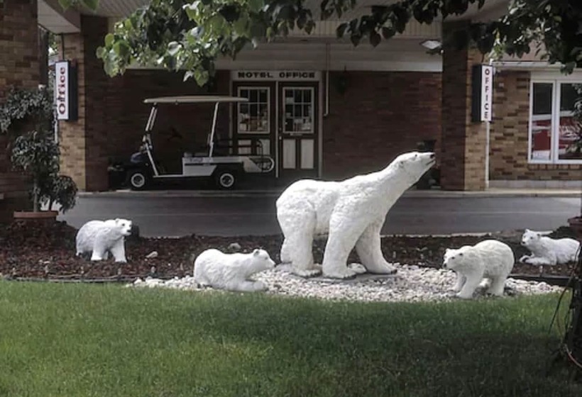 مُتل Ivy Rose Motor Inn