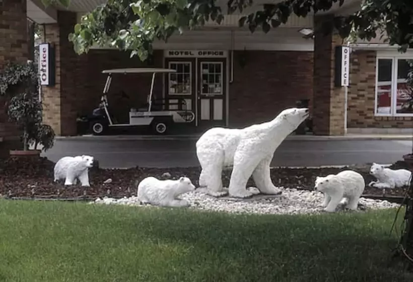 モーテル Ivy Rose Motor Inn