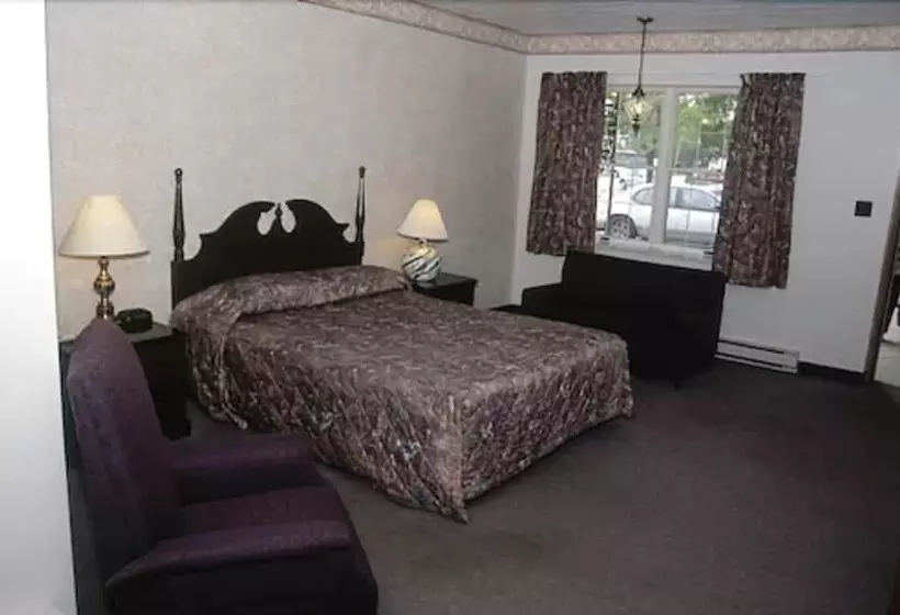 モーテル Ivy Rose Motor Inn