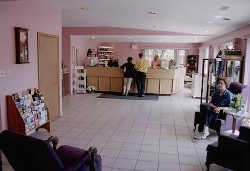 モーテル Ivy Rose Motor Inn