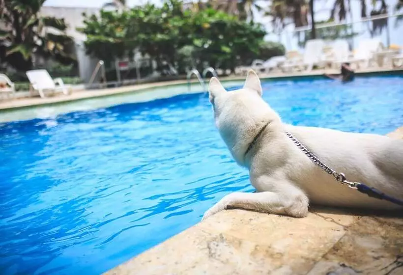 בית מלון כפרי Playa Club