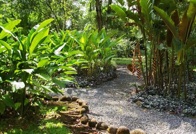 호텔 Selva Verde Lodge