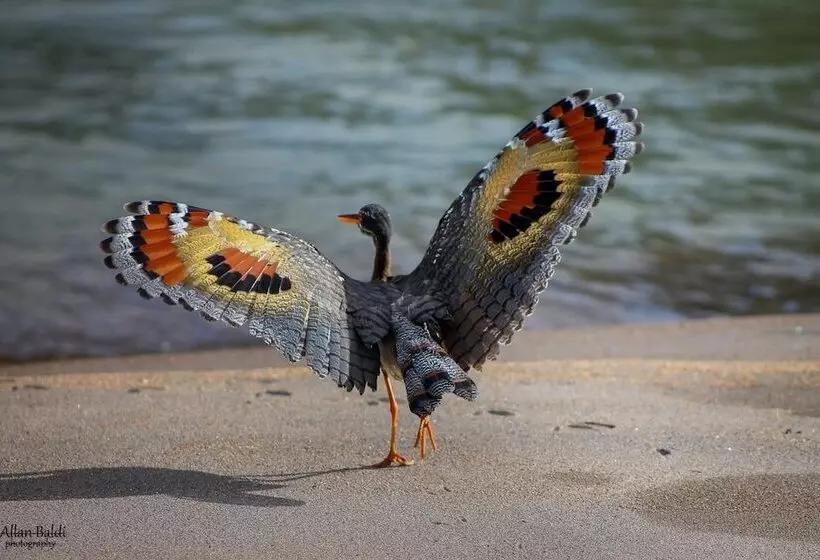 호텔 Selva Verde Lodge