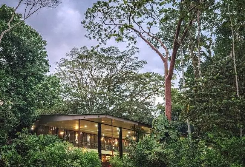 호텔 Selva Verde Lodge