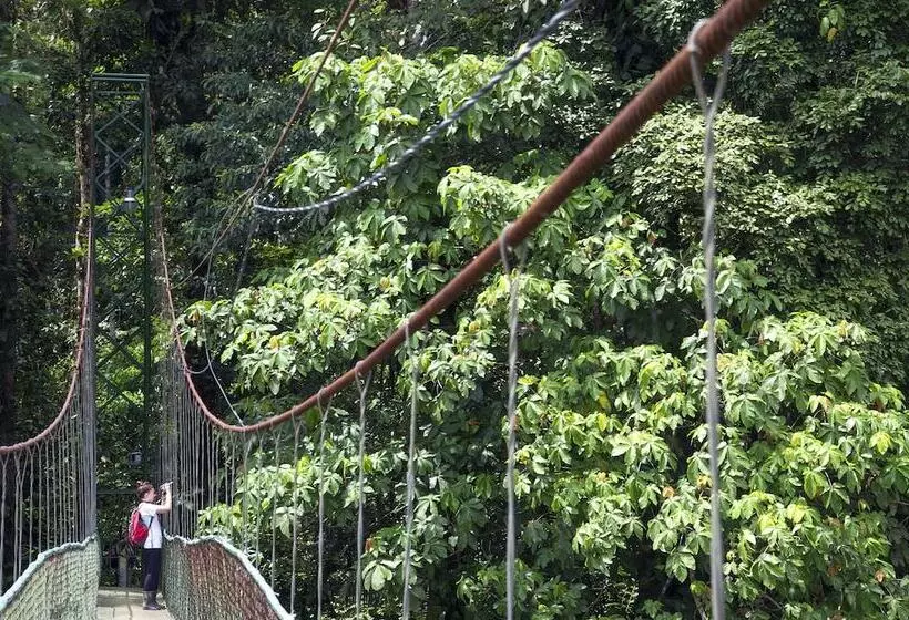 호텔 Selva Verde Lodge