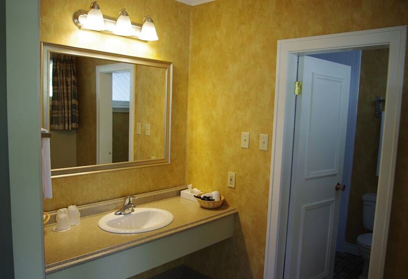 Hotelli Silver Dart Lodge