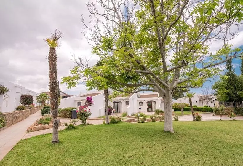 Отель The Olive Tree