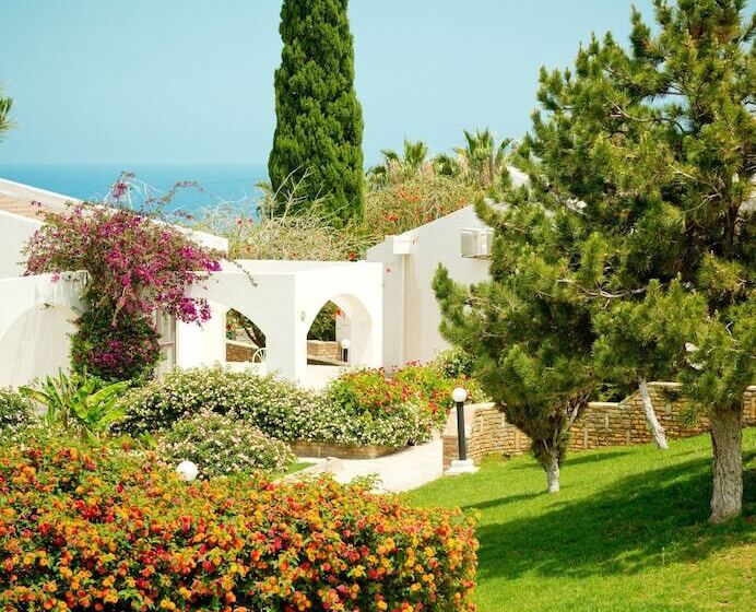 هتل The Olive Tree