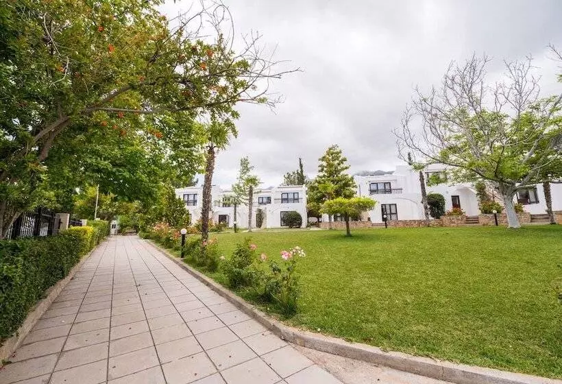 Отель The Olive Tree