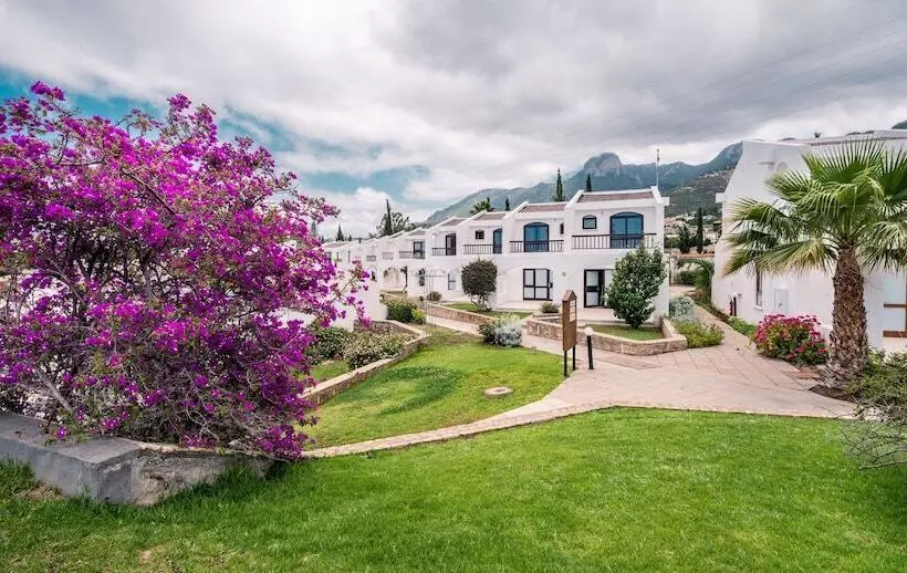 Отель The Olive Tree