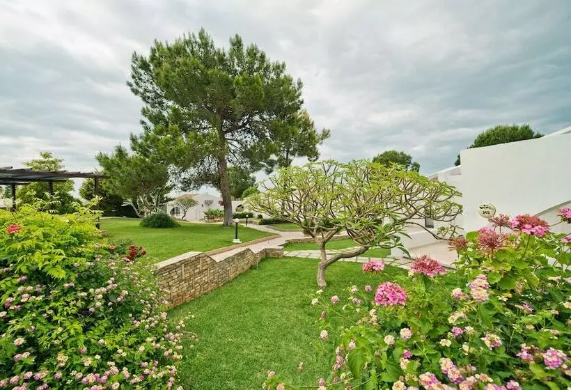 Отель The Olive Tree