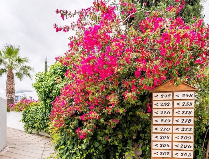 هتل The Olive Tree