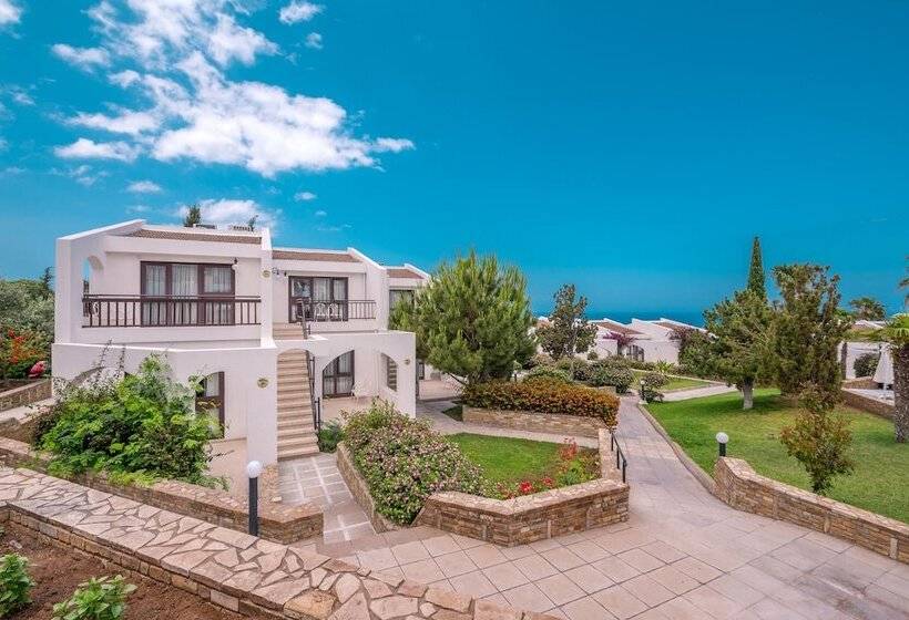 هتل The Olive Tree