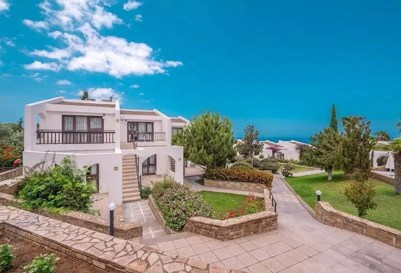 Отель The Olive Tree